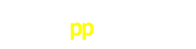 pp300